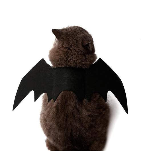 Easy Batwings Cat Halloween Costume – Trendy Drop 2025 Edition