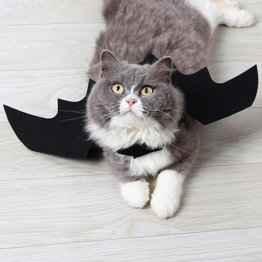 Easy Batwings Cat Halloween Costume – Trendy Drop 2025 Edition