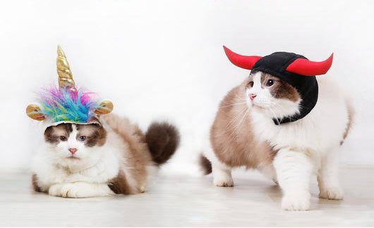 "Unicorn VS Devil" Pets Halloween Costume Hats – Trendy Drop 2025 Edition