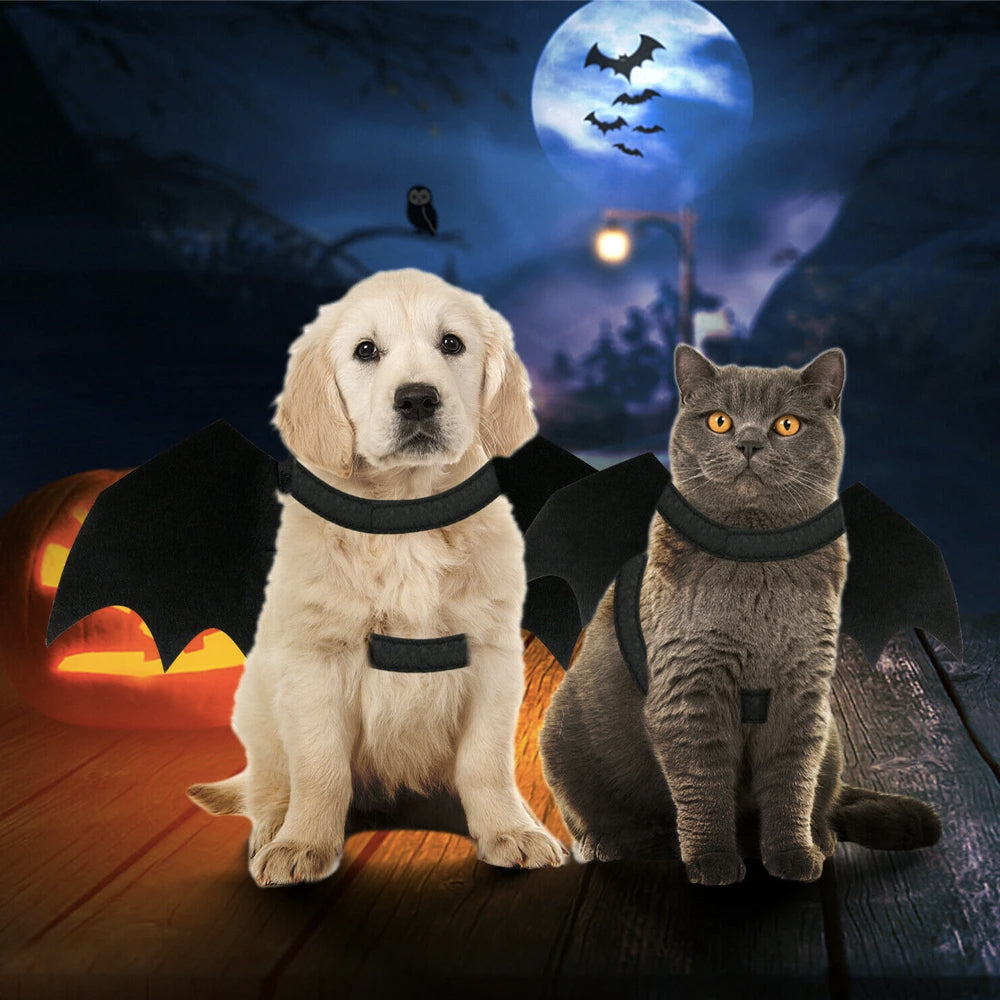 Halloween Pet Bat Wings Costume Cat and Dogs – Trendy Drop 2025 Edition