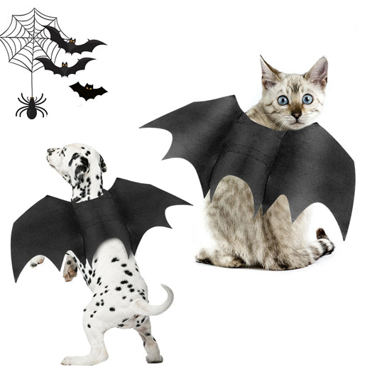 Halloween Pet Bat Wings Costume Cat and Dogs – Trendy Drop 2025 Edition