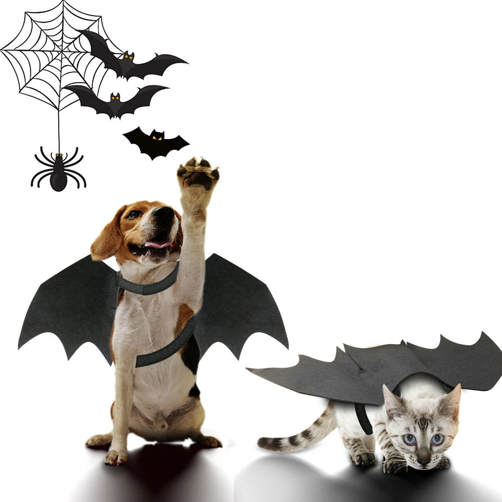 Halloween Pet Bat Wings Costume Cat and Dogs – Trendy Drop 2025 Edition