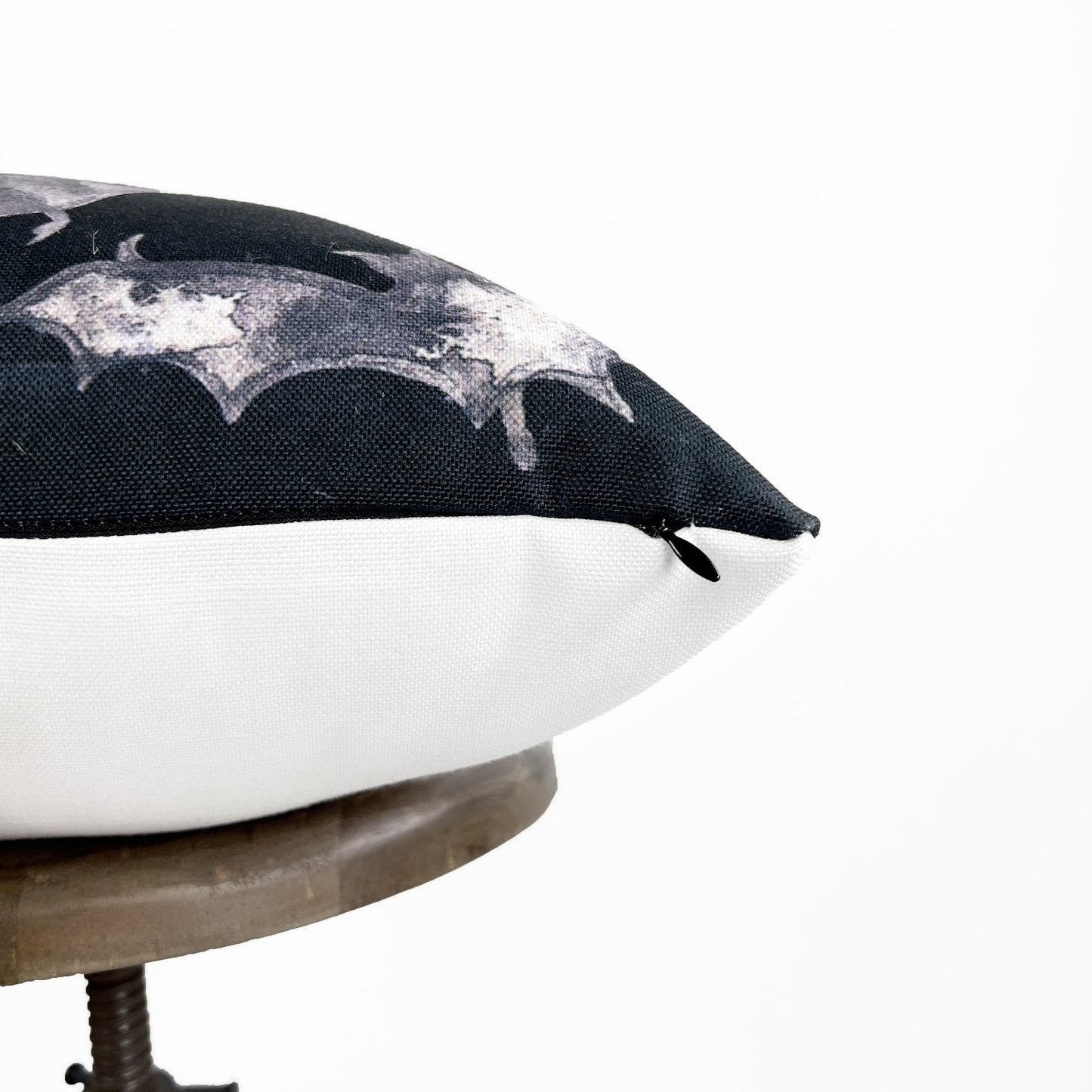 Bats on Black Pillow