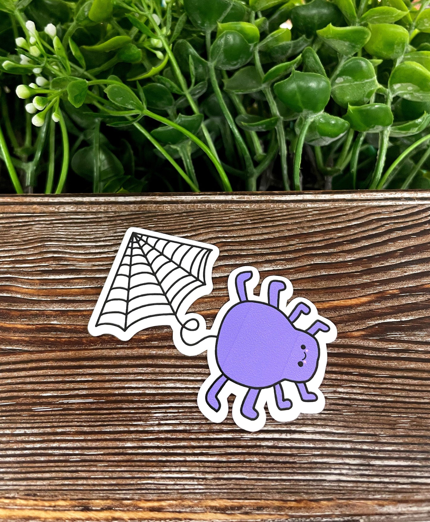 Cute Spider and Web, Die Cut Sticker, Graphic Art Sticker, Vinyl, ,