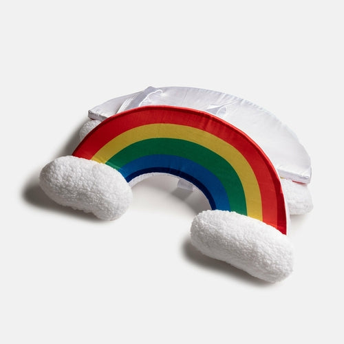 Rainbow Dog Costume – Colorful & Fun Matching Pet Outfit