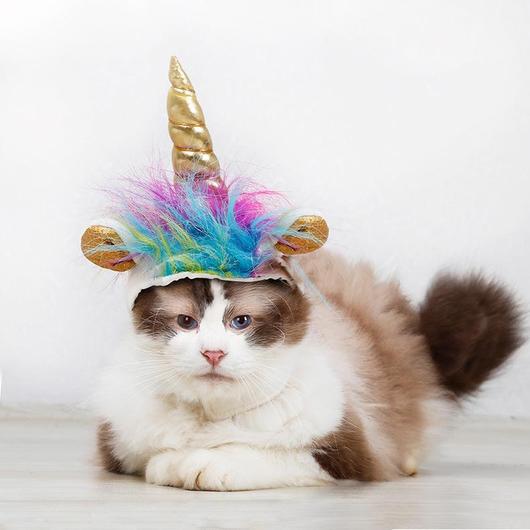 "Unicorn VS Devil" Pets Halloween Costume Hats – Trendy Drop 2025 Edition