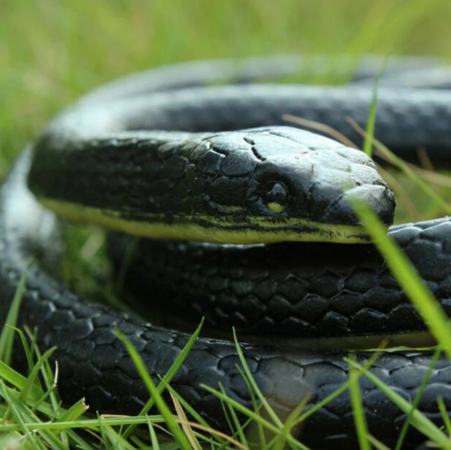 Fake Realistic Snake Lifelike Real Scary Rubber Toy Prank Party Joke