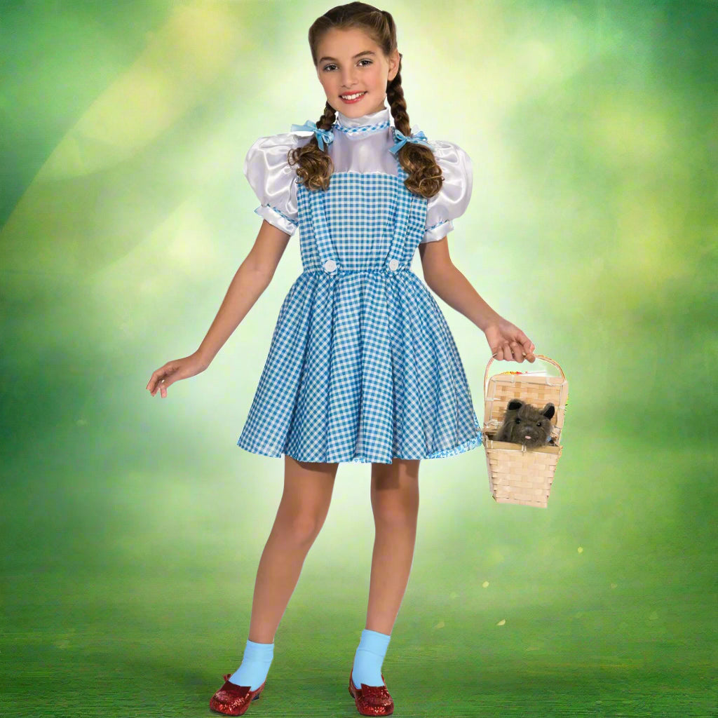Child wearing a blue checkered dress with white blouse and red shoes, holding a basket.