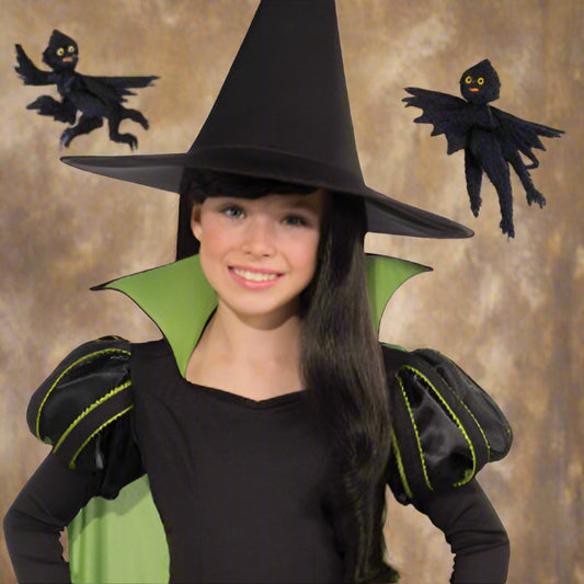 Wizard Oz Wicked Witch Child Costume, L RU886489LG Morris Costumes
