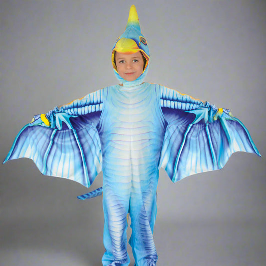 Child wearing a blue dragon costume with wings on a white background