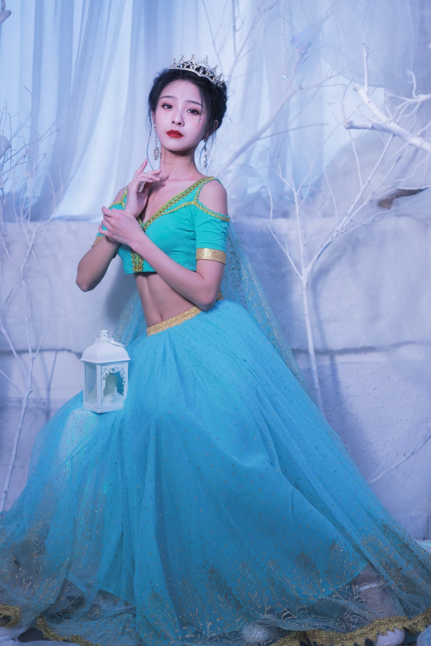 Belly Dance Outfit Indian Dance Jasmine Fancy Costume Party Cosplay