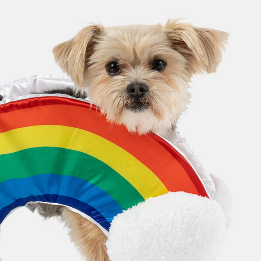 Rainbow Dog Costume – Colorful & Fun Matching Pet Outfit