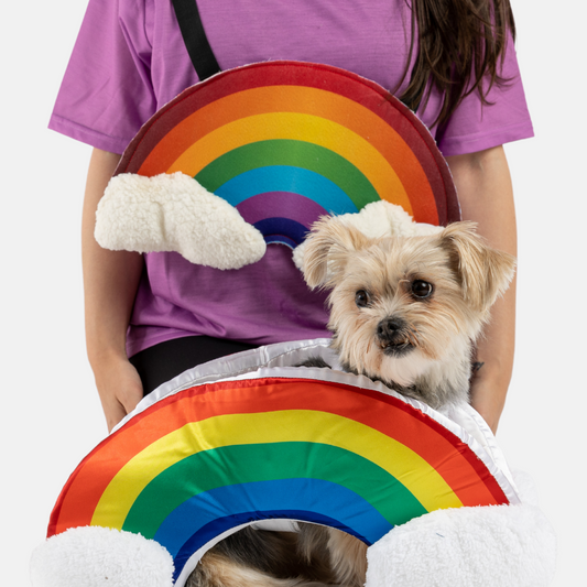 Rainbow Dog Costume – Colorful & Fun Matching Pet Outfit