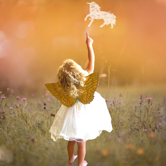 Little Girl Costume Hologram Fairy Wings